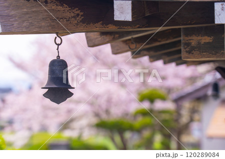 奈良　柳観音堂の風鐸越しに見ると桜 120289084
