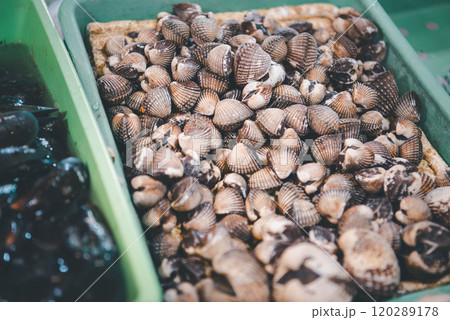 Fresh raw sea cockles clams at seafood market Fresh raw sea cockles clams at seafood market 120289178