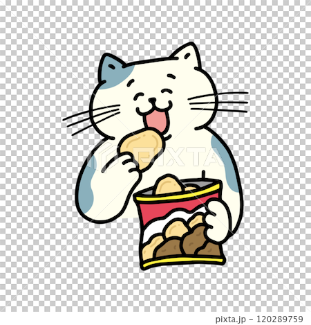 スナック菓子を食べる猫 120289759