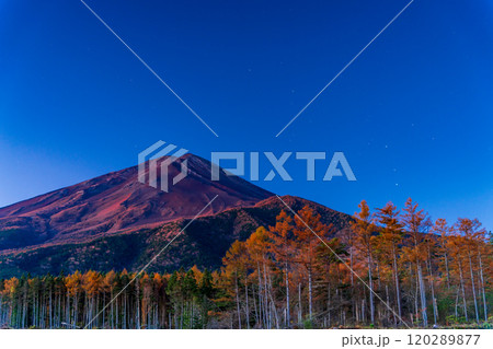 【山梨県】晩秋のカラマツ黄葉と富士山  夜明け 120289877