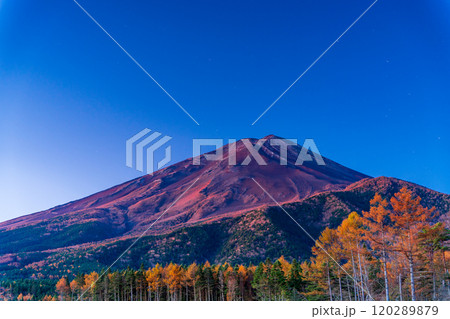 【山梨県】晩秋のカラマツ黄葉と富士山  夜明け 120289879