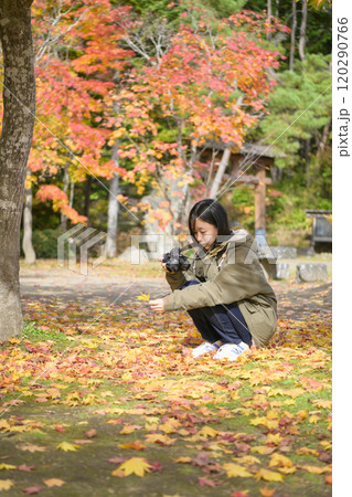 紅葉した葉を拾う女性 120290766