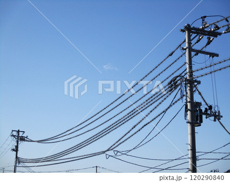 鳥対策をした電線 120290840