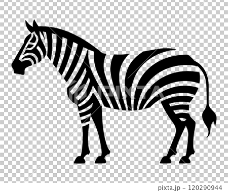 Zebra full body silhouette illustration, cut out on transparent background 120290944