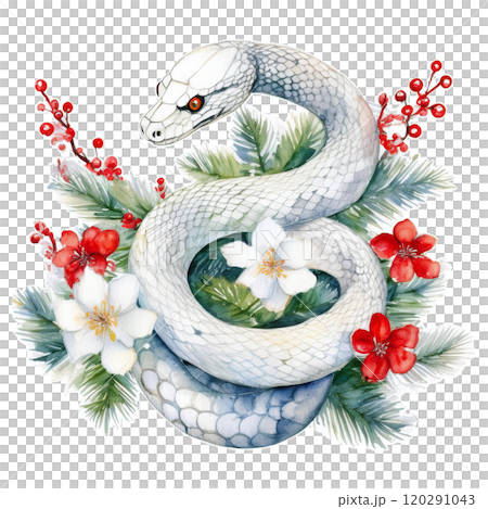 白蛇と新年の花の水彩イラスト1／チラシやポスター用素材のイラスト