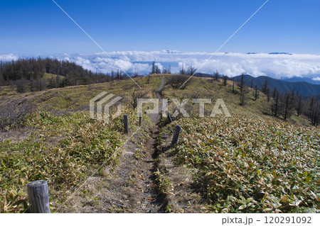 【長野県】美ヶ原高原 思い出の丘からの眺め 【長野県】美ヶ原高原 思い出の丘からの眺め 120291092