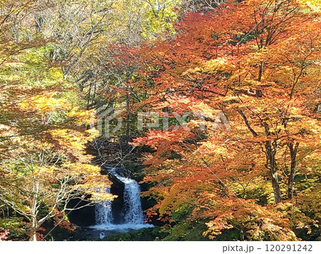 紅葉と鐘山の滝 120291242