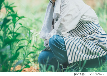 畑の草取りをする女性 畑の草取りをする女性 120292627