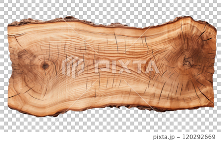 Cross Section of a Tree 120292669