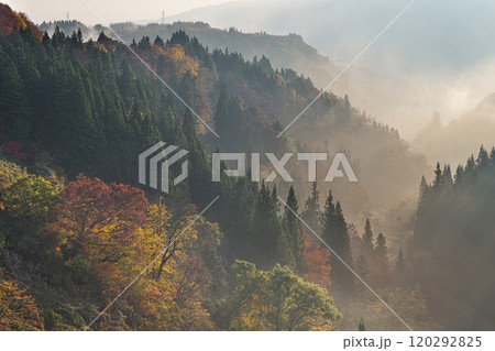 朝日に染まる鍋倉高原の紅葉 朝日に染まる鍋倉高原の紅葉 120292825