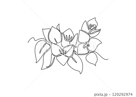 beauty fresh bougainville for wall home decor poster beauty fresh bougainville for wall home decor poster 120292974