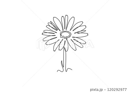 beauty fresh calendula for home decoration wallpaper art poster print 120292977