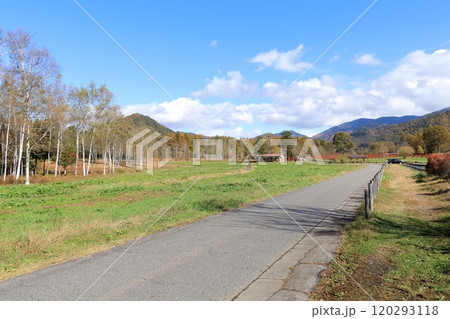 秋の開田高原《木曽馬の里》 120293118
