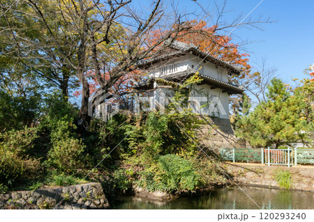 群馬県高崎市の高崎城址 120293240