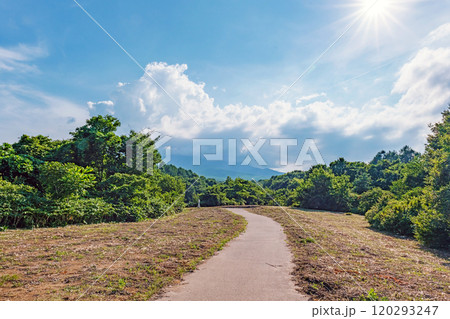 青森 大森勝山遺跡 120293247