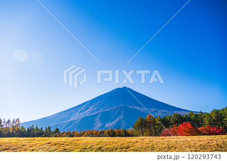 【山梨県】モミジの紅葉が美しい、全国育樹祭記念広場から眺める富士山 【山梨県】モミジの紅葉が美しい、全国育樹祭記念広場から眺める富士山 120293743