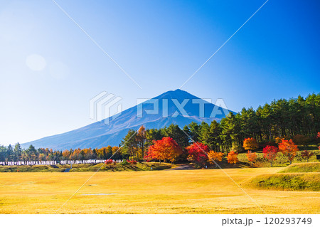 【山梨県】モミジの紅葉が美しい、全国育樹祭記念広場から眺める富士山 120293749