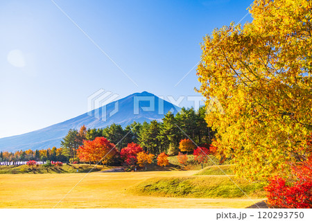 【山梨県】モミジの紅葉が美しい、全国育樹祭記念広場から眺める富士山 120293750