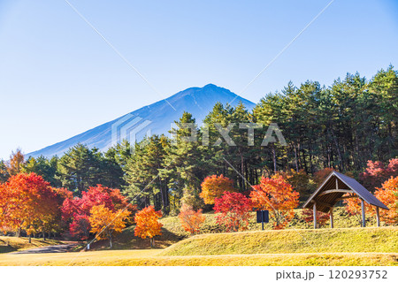 【山梨県】モミジの紅葉が美しい、全国育樹祭記念広場から眺める富士山 120293752