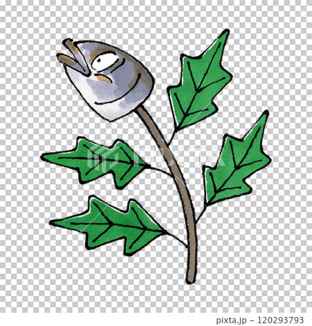 Hirune沙丁魚 120293793