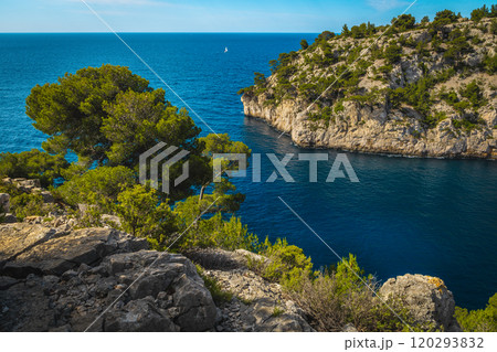 Magnificient Calanque de Port Pin bay view, Cassis, Marseille, France 120293832
