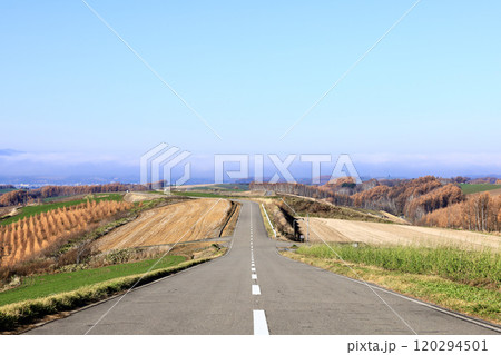 青空と視界の開けた北海道らしい道 青空と視界の開けた北海道らしい道 120294501