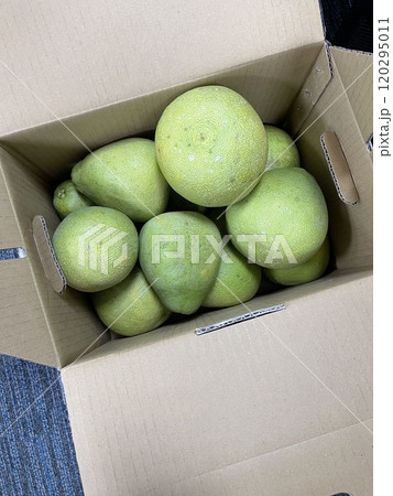 すがすがしさ 新鮮 さわやか 120295011