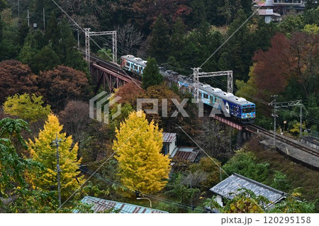 秩父鉄道　紅葉色づく　浦山口駅　鉄橋俯瞰 120295158