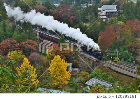 秩父鉄道 紅葉色づく 浦山口駅 鉄橋俯瞰 秩父鉄道 紅葉色づく 浦山口駅 鉄橋俯瞰 120295161