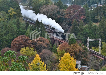 秩父鉄道　紅葉色づく　浦山口駅　鉄橋俯瞰 120295162
