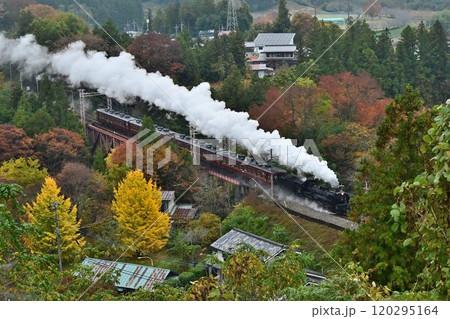秩父鉄道　紅葉色づく　浦山口駅　鉄橋俯瞰 120295164
