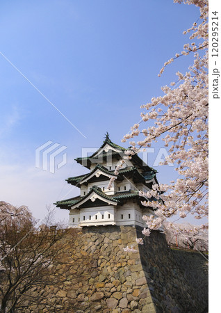 弘前城、天守と桜 弘前城、天守と桜 120295214