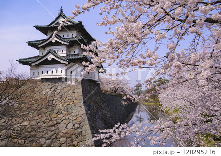 弘前城、天守と桜 120295216