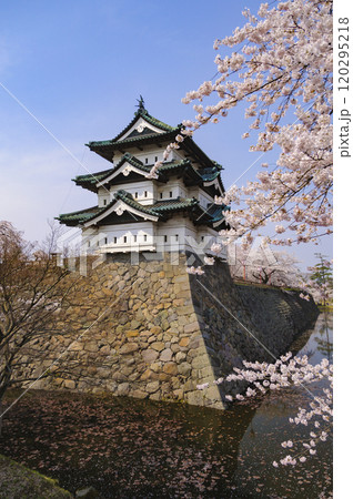 弘前城、天守と桜 120295218