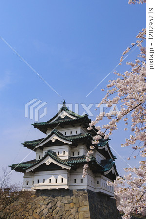 弘前城、天守と桜 120295219