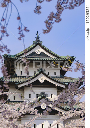 弘前城、桜に囲まれた天守閣 120295224