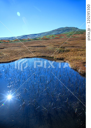 秋の月山弥陀ヶ原 120295300