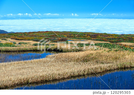 秋の月山弥陀ヶ原 秋の月山弥陀ヶ原 120295303