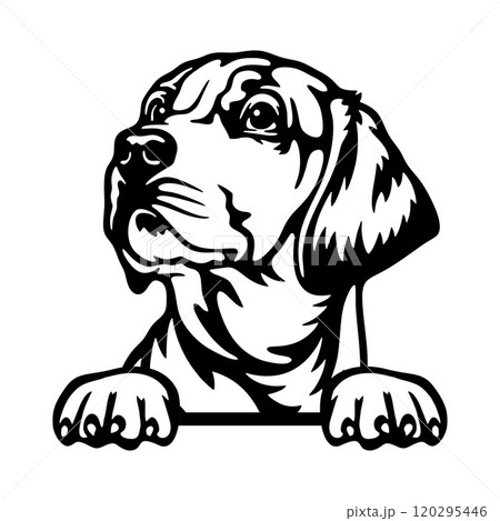 Peeking Labrador Retriever - Dog Breed - Pet Vector Portrait, Dog Silhouette Stencil - Cricut file EPS 120295446