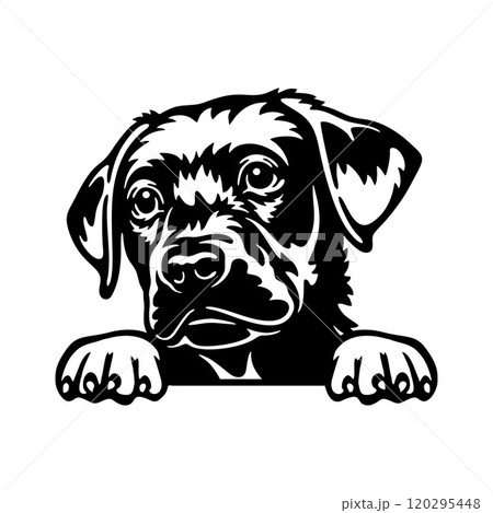 Peeking Labrador Retriever - Dog Breed - Pet Vector Portrait, Dog Silhouette Stencil - Cricut file EPS 120295448