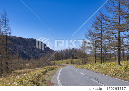 【長野県】美ヶ原高原道路の風景 【長野県】美ヶ原高原道路の風景 120295517