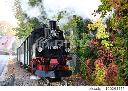 ドイツ　ドレスデン近郊　レスニッツグルント鉄道のメーヤー式狭軌蒸気機関車 120295583
