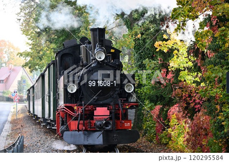ドイツ　ドレスデン近郊　レスニッツグルント鉄道のメーヤー式狭軌蒸気機関車 120295584
