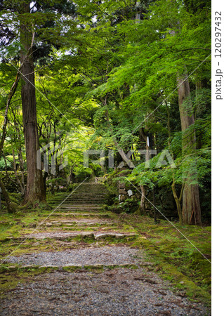 新緑の西明寺 120297432