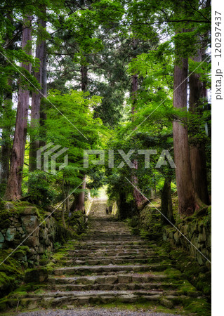 新緑の西明寺 新緑の西明寺 120297437