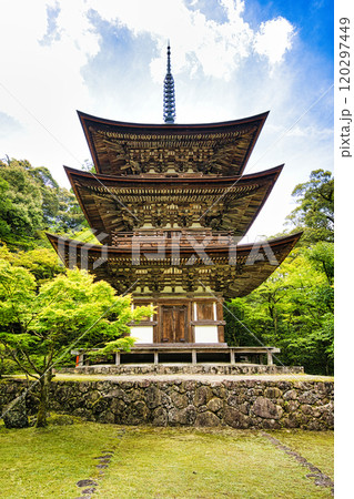 新緑の西明寺 120297449