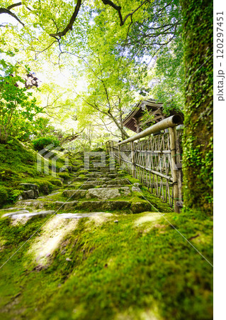 新緑の西明寺 120297451