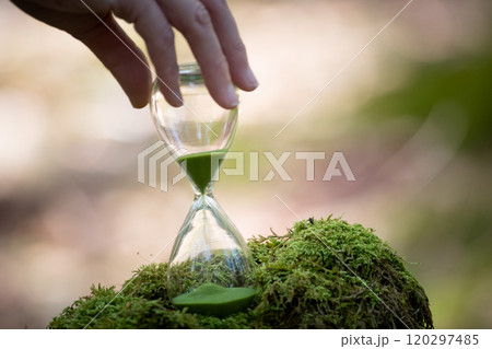 苔の森と砂時計 120297485