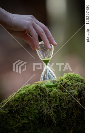 苔の森と砂時計 苔の森と砂時計 120297486
