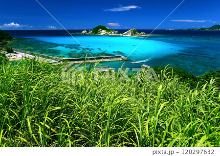 真夏の沖縄　渡嘉敷島の風景 120297632